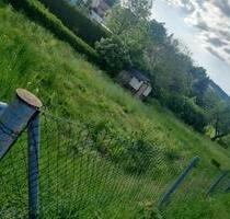 693 qm Gartengrundstück mit angrenzendem Bachlauf zu verpachten ! - Kaltennordheim