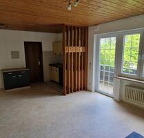 Appartement zu vermieten - 500,00&nbsp;EUR Kaltmiete, ca.&nbsp; 29,00&nbsp;m&sup2; in Marktheidenfeld (PLZ: 97828)