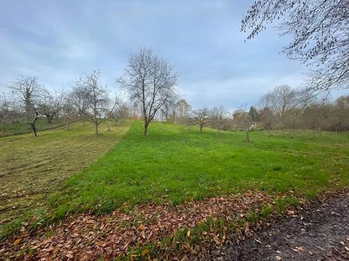 Foto - FreizeitgrundstückGartengrundstück in Durbach zu verpachten
