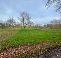 FreizeitgrundstückGartengrundstück in Durbach zu verpachten