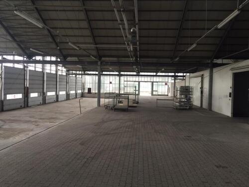 Foto - andere in Markranstädt