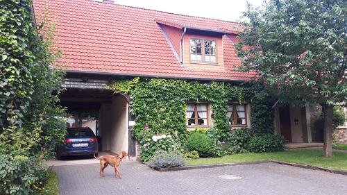 Foto - Einfamilienhaus in Aerzen