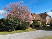 Foto - Ferienwohnung Lüneburger Heide Aller-Leine-Tal