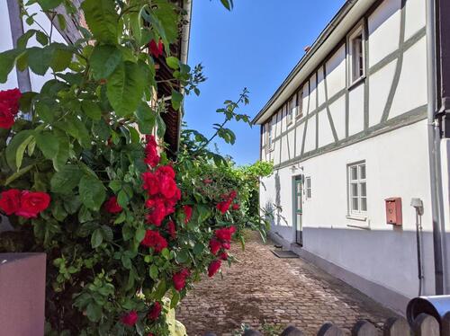 Foto - Einfamilienhaus in Babenhausen zum Kaufen