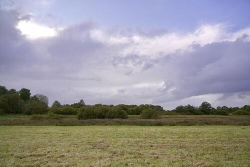 Foto - 4 Zimmer Einfamilienhaus in Handewitt