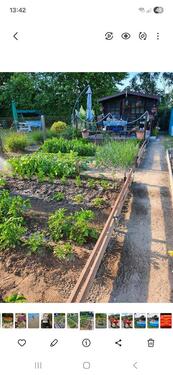 Foto - Garten abzugeben - 600,00 EUR Kaltmiete, ca.  0,00 m²