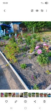 Foto - Grundstück zur Miete in Neuenkirchen