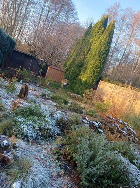 Foto - Grundstück in Kaltenkirchen