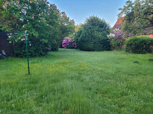 Foto - Einfamilienhaus in Heide zum Kaufen