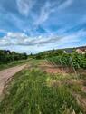 Foto - Kleines 6-Zimmer-Haus in Nierstein
