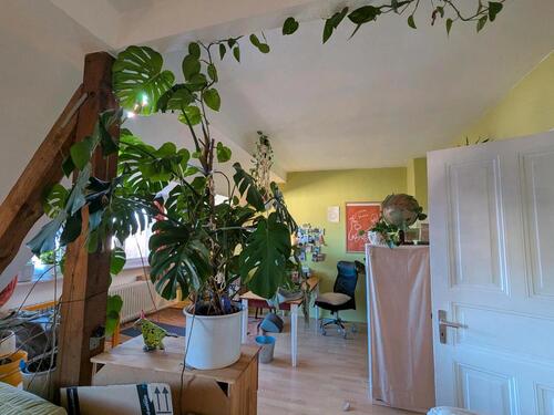 Foto - Etagenwohnung zur Miete in Kiel