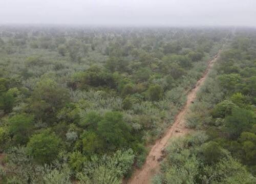Foto - Fokus auf Investment & Zukunft 5000 ha in Paraguay