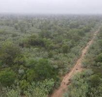 Fokus auf Investment & Zukunft 5000 ha in Paraguay - Germering