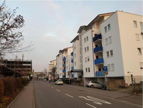 Foto - andere in Lauffen am Neckar