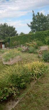 Foto - Garten abzugeben im Komponistenviertel