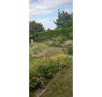 Garten abzugeben im Komponistenviertel - Rostock