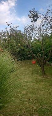 Foto - Grundstück zur Miete in Rostock