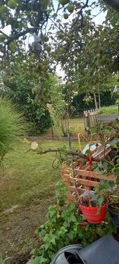 Foto - Grundstück in Rostock