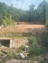 Foto - 10 Zimmer Einfamilienhaus in Hameln