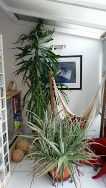 Foto - Etagenwohnung zum Kaufen in Mainz