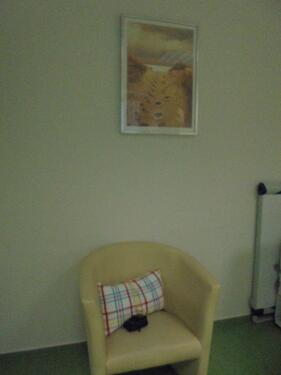 Foto - andere in Potsdam