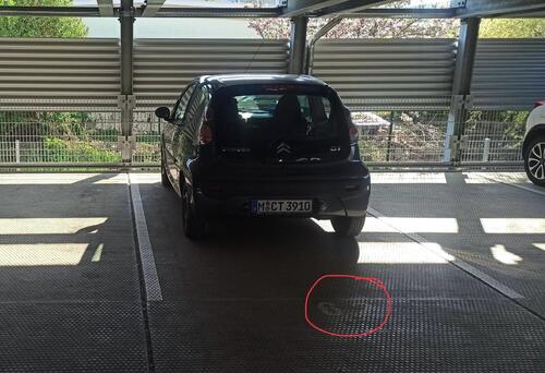 Foto - andere zur Miete in Schkeuditz