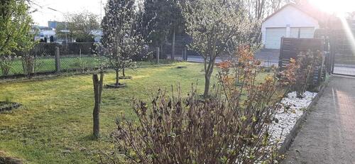 Foto - 