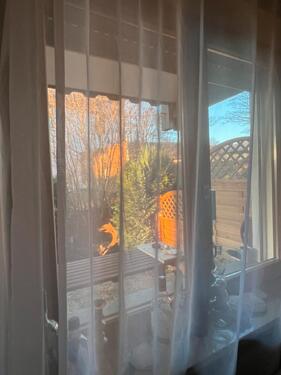 Foto - 2 Zimmer Erdgeschoßwohnung zur Miete in Bodenmais