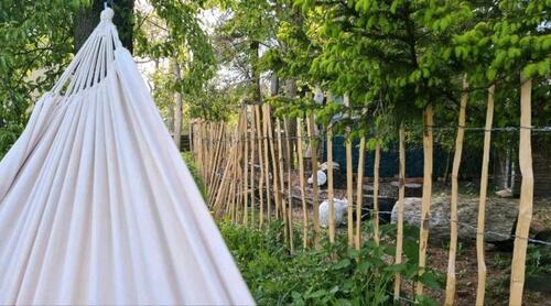 Foto - 