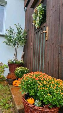 Foto - Bauernhaus, Landhaus in Neukirch/Lausitz