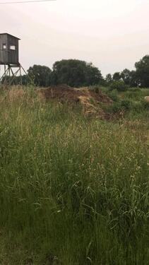 Foto - Grundstück zur Miete in Aiterhofen