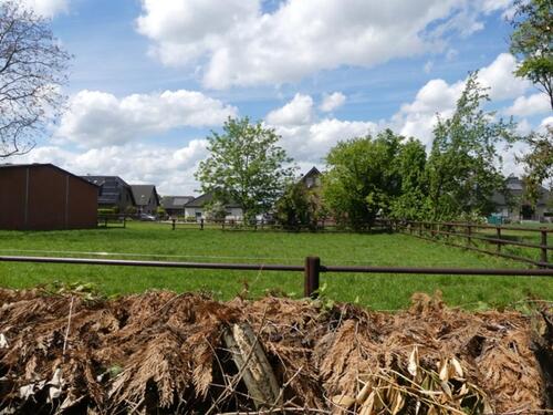 Foto - andere in Geldern