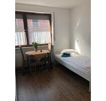 Schöne helle 1 Zimmer Apartments - Hasloch