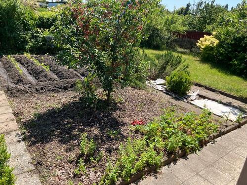 Foto - Kleingarten Leutzsch - 1.500,00&nbsp;EUR Kaltmiete, ca.&nbsp; 0,00&nbsp;m&sup2;