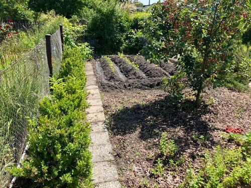 Foto - Grundst&uuml;ck zur Miete in Leipzig