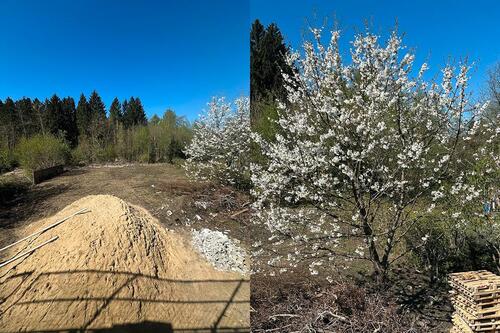 Foto - Einfamilienhaus in Quickborn zum Kaufen