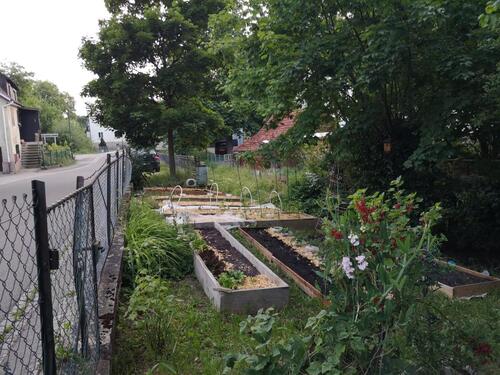 Foto - Grundst&uuml;ck in Mössingen