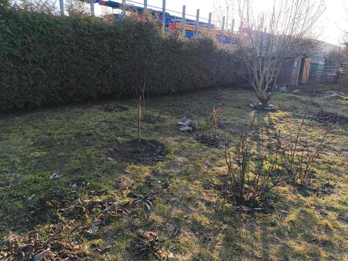 Foto - Grundst&uuml;ck zur Miete in Zwenkau