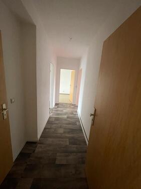 Foto - Etagenwohnung in Dresden zur Miete