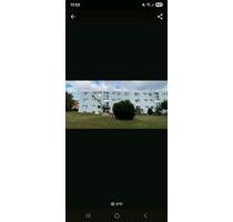 Wohnung zu vermieten 650 € - 650,00&nbsp;EUR Kaltmiete, ca.&nbsp; 90,00&nbsp;m&sup2; in Stolzenau (PLZ: 31592)