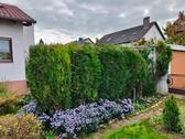 Foto - Einfamilienhaus zum Kaufen in Mannheim