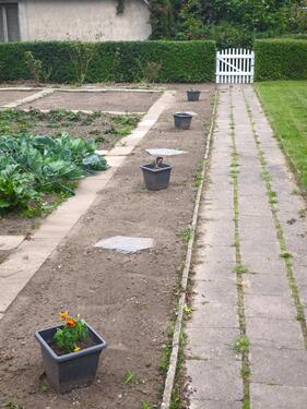 Foto - Grundst&uuml;ck in Schönebeck (Elbe) zur Miete