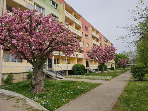 Foto - Sanierte 3 Raumwohnung mit Balkon, Bad mit Wanne und Fenster