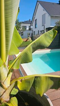 Foto - Stadtvilla in Erlensee - 950.000,00 EUR Kaufpreis,