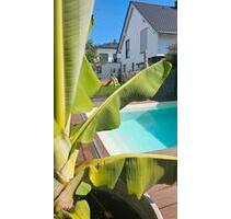 Stadtvilla in Erlensee - 950.000,00 EUR Kaufpreis, in Erlensee (PLZ: 63526)