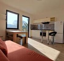 voll möblierte Wohnung mit zwei Schlafzimmern und Balkon - Hoppstädten-Weiersbach