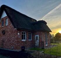 Ferienhaus Kleine Auszeit im Reetdachhaus zwischen Elbe und Moor - Wischhafen