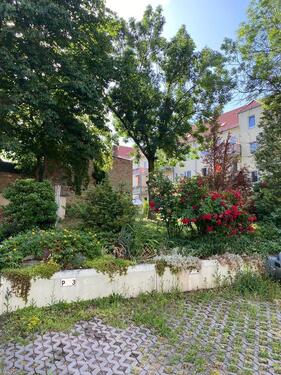 Foto - Etagenwohnung in Halle (Saale) zur Miete