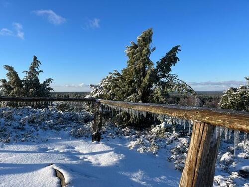 Foto - andere in Bispingen