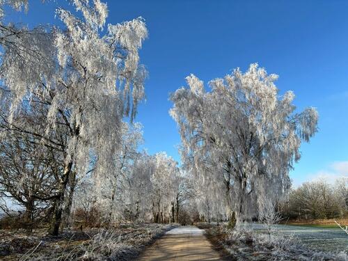 Foto - andere in Bispingen zur Miete
